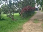 Battaramulla Koswatta 10 Perches Land for Sale