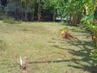 Battaramulla Koswatta Land for Sale (SSPL-18)