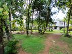 Battaramulla | Land with House For Sale 50 Perches