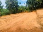 Battaramulla Luxurious Land for Sale Near Town