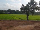 Battaramulla Paddy Field Facing 14 Perch Land for Sale