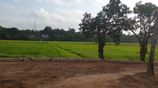 Battaramulla Paddy Field Facing 14 Perch Land for Sale