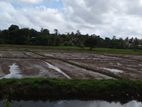 Battaramulla paddy field facing 14 perch land for sale .