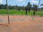 Battaramulla Paddy field facing 14.00 perch land for sale .