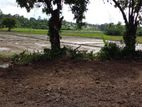 Battaramulla paddy field facing 14.00 perch land for sale .