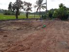 Battaramulla Paddy field facing land for sale .