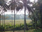 Battaramulla - pelawatha paddy field facing land for sale