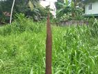 Battaramulla - Pelawatte 18 perches of Residential Land For Sale