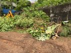Battaramulla - Prime Land for sale