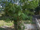 Battaramulla - Prime Land for sale