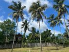 Battaramulla Thalangama 6 Perches Land for Sale