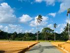 බද්දේගම Land for Sale