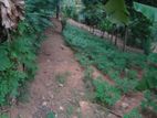 බලංගොඩ අගනා ඉඩම විකිණීමට