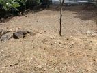 බදුල්ල නගර සීමාවේ ඉඩමක්