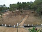 Beach Faceing Land Plot Dikwella