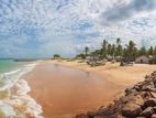 Beach Facing Land for Sale in Kalpitiya