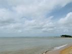 Beach Facing Land - Kalpitiya