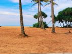 BEACH FACING LAND මුහුදු තීරය ආසන්නයෙන් පදිංචිය සදහා අගනා බිම් කොටස්