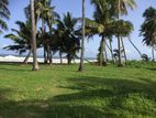 Beach Front Land - Dutch Fort Matara 250 Perches for Sale