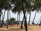Beach Front Land for Sale Kalutara