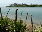 Beach Front Land for Sale Trincomalee