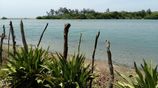 Beach Front Land for Sale Trincomalee