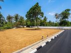 Beach Front Land for Sale in Dondra, Matara