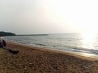 Beach Front Land For Sale In Kaluthara - CL817