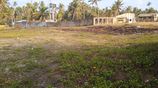 Beach Front Land for Sale in Negombo
