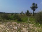 Beach Front Land for Sale in Pasikuda