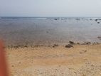 Beach Front Land for Sale in Pasikuda