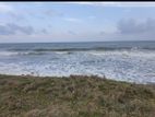 Beach Front Land For Sale In Pottuvil - CL893