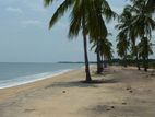 Beach front Land for Sale in Vakarai