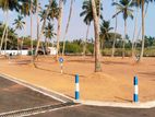 Beach Front Land For Sale In Wadduwa