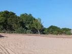 Beach Front Land for Sale Kuchchaveli