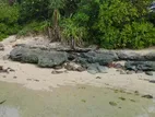 Beach Front Land for Sale, Mirissa