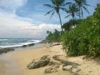 Beach front Land for Sale. Mirissa