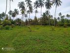 Beach front Land for Sale Wadduwa