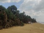 Beach Front Land for Sale Wasgamuwa