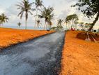 Beach Front Land in Matara
