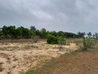 Beach Front Land to Sell in Arugambay