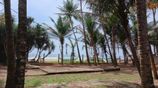 Beach Front Land Wadduwa