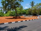 Beach front property for sale