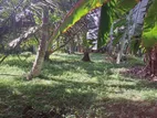 Beach land for sale (3942) Matara