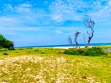Beach Land for Sale in Arugam Bay