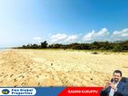 Beach Land For Sale in Nilaveli - Trincomalee