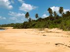 Beach Land For Sale In Tangalle