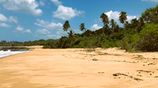 Beach Land for Sale in Tangalle