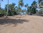 Beach Land for Sale in Wadduwa