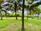 Beach Land for Sale in Wadduwa